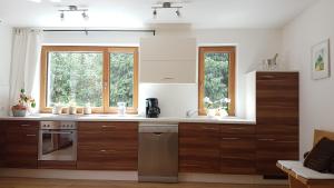 Kuchyňa alebo kuchynka v ubytovaní Apartment Plan Corones