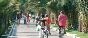 a group of people riding bikes down a path with palm trees at Cristallo Verde Mare in Alba Adriatica