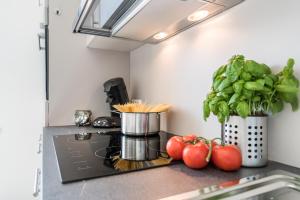 Küche/Küchenzeile in der Unterkunft Family-Apartments Freiburg