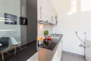 Küche/Küchenzeile in der Unterkunft Family-Apartments Freiburg