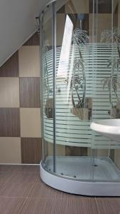 ザルネシュティにあるSura Pietrei Craiuluiのバスルーム(ガラス張りのシャワー、シンク付)
