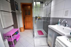 a bathroom with a shower and a sink at Apartament Krych in Rabka-Zdrój