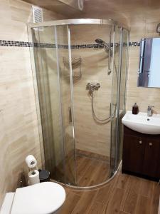 a bathroom with a shower and a sink at Apartament Pocztowa in Drawsko Pomorskie
