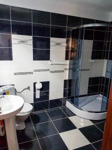 a bathroom with a shower and a toilet and a sink at Casa DeLux in Băile Olăneşti +28 photos