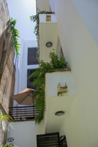 a staircase with plants on the side of a building at Villago Residences in Santo Domingo