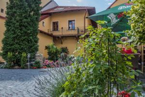 Zahrada ubytování Pension Viktorin