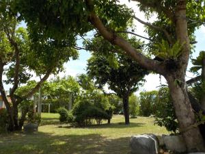 גינה חיצונית ב-Qing Taoyuan Homestay