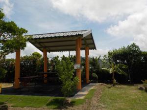 גינה חיצונית ב-Qing Taoyuan Homestay