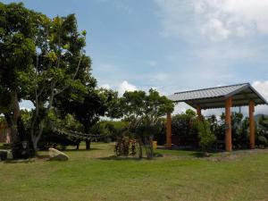 גינה חיצונית ב-Qing Taoyuan Homestay