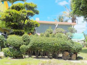גינה חיצונית ב-Qing Taoyuan Homestay
