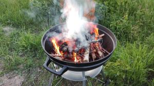 a grill with a bunch of food on it at Domek nad morzem Mechowo in Mechowo