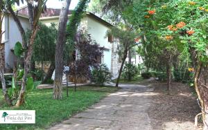a path in front of a house with trees at B&B Viale dei Pini in Castellaneta Marina