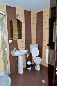 Kylpyhuone majoituspaikassa Pensiunea Vatra Bucovinei