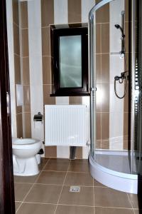 バトラ・モルドビツェイにあるPensiunea Vatra Bucovineiのバスルーム(トイレ、ガラス張りのシャワー付)