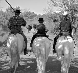 a group of people riding horses down a dirt road at Appartement Les Saintes au bord de mer in Saintes-Maries-de-la-Mer