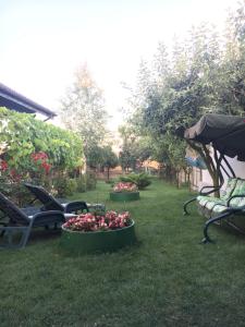 Zahrada ubytování Vila Ann