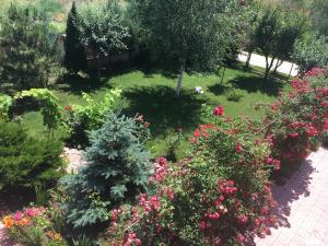 Zahrada ubytování Vila Ann