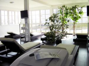 a living room with couches and a potted plant at Golfhotel Hebelhof in Bad Bellingen