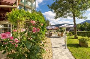 Widok na góry z tego hotelu