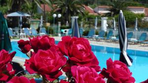 a bunch of red roses next to a swimming pool at Tria Adelphia in Arillas