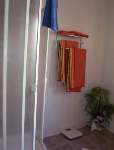 a bathroom with a shower and some towels on a rack at Ferienwohnung Meier Eveline in Dollnstein