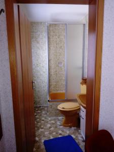 a bathroom with a toilet and a shower at Mollseifer Hof in Winterberg