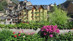 un ramo de flores frente a una ciudad en Hotel De Rei, en Llavorsí