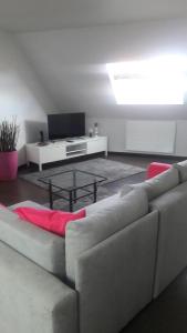 a living room with a couch and a coffee table at Appartement avec garage Colmar Centre Historique in Colmar