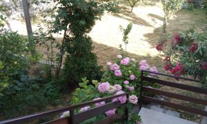 Zahrada ubytování Villa Suzana