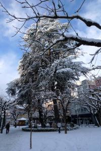 Hotel Ripoll during the winter