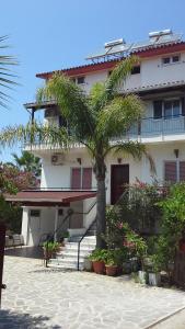 a palm tree in front of a building at Mylonas Rooms in Pandokrátor