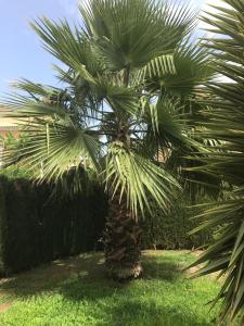 Gallery image of Apartment Altos De La Bahia X in Torrevieja