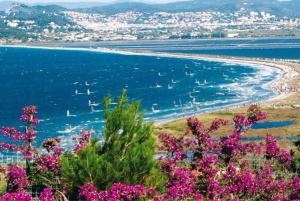 a beach with boats in the water and pink flowers at Joli appartement tout confort in Hyères