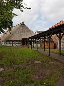 a building with a thatched roof and a grass field at Herberge-Wichernhaus-Boltenhagen in Boltenhagen