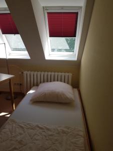a bed in a room with two windows at Herberge-Wichernhaus-Boltenhagen in Boltenhagen