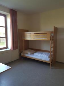 a bedroom with a bunk bed with a ladder at Herberge-Wichernhaus-Boltenhagen in Boltenhagen
