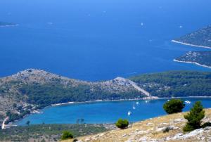 Fotografie z fotogalerie ubytování Apartmani Grebastica v destinaci Grebaštica + 67 fotografií