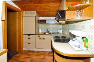 A kitchen or kitchenette at Ferienwohnung Frauenschuh