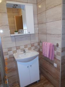 a bathroom with a sink and a mirror at Sobe Žalac in Karlovac