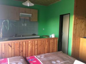 Kuchyň nebo kuchyňský kout v ubytování Hotel Na Trojce