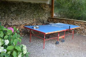 una mesa de ping pong con una blusa azul. en Les Deux Tours en Siorac-en-Périgord