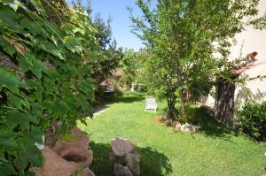 特里尼塔迪亞古圖的住宿－Appartamenti Salusai，一个带椅子和一棵树的院子