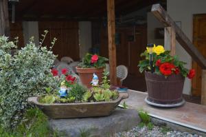 Afbeelding uit fotogalerij van Pensiunea Morariu in Sălişte +26 foto's