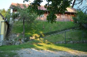 Afbeelding uit fotogalerij van Pensiunea Morariu in Sălişte