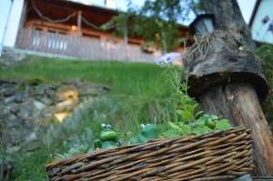 Afbeelding uit fotogalerij van Pensiunea Morariu in Sălişte