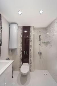 プロブディフにあるLux Apartment Plovdivの白いバスルーム(トイレ、シャワー付)