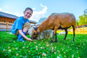 een jongetje knielend naast een schaap dat gras eet bij Bauernhof Vorderklinglhub &Landhaus Olga in Flachau