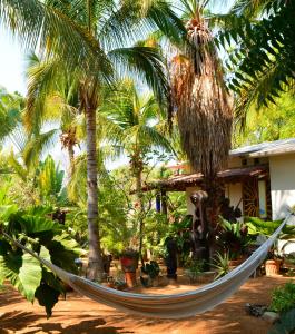 a hammock in front of a house with palm trees at Hotel Villa Mozart y Macondo in Puerto Escondido