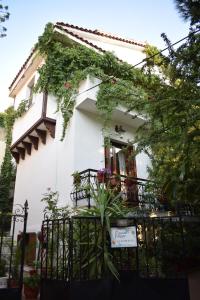 a white house with a plant in front of it at Pension Felippe in Pythagoreio +25 photos