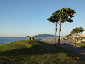 un albero su una collina vicino a una spiaggia di Unique Sea View B&B a Città di Hualien